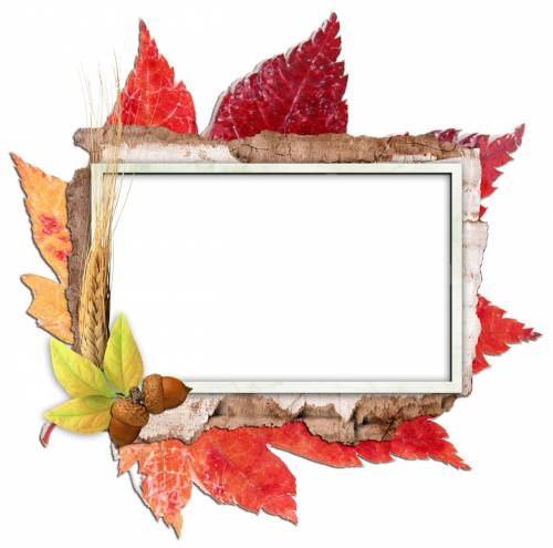Рамка Осень с берестой, желудями и осенними листьями