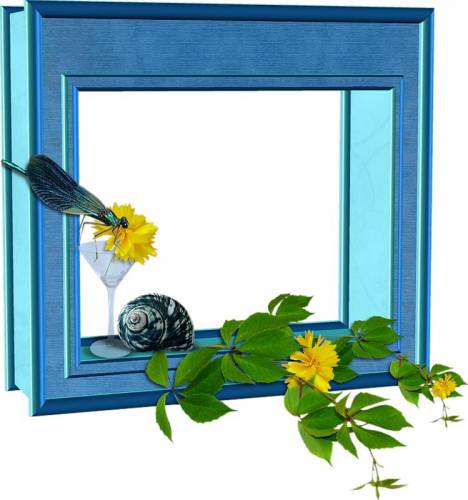 Голубая рамка со стрекозой, цветами и улиткой