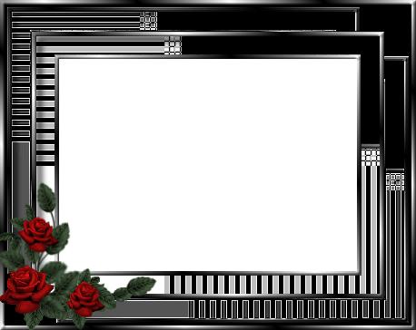 Черно-белая рамка с красными розами