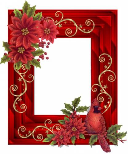Красная рамка на прозрачном фоне с цветами и птицей