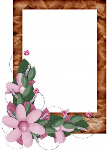 Прямоугольная рамка с розовыми лилиями