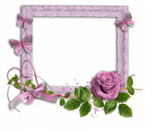 Розовая рамка с розовой розой и бабочками