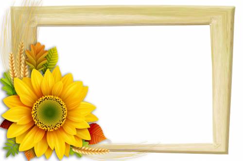 Прямоугольная рамка с желтым цветком и колосьями