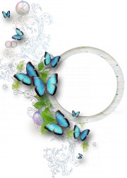 Круглая рамка. Голубые бабочки