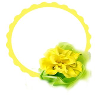 Желтая рамка с цветами