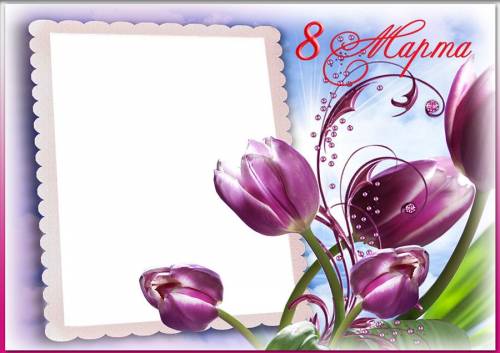 8 Марта. Фиолетовые тюльпаны