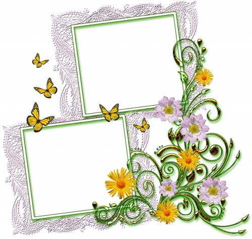 Рамки белые с цветами и бабочками