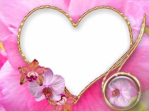 Золотом отделанное сердечко. Фон розовый. Орхидеи