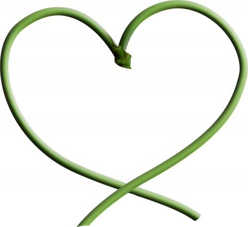 Рамка сердечко зеленое