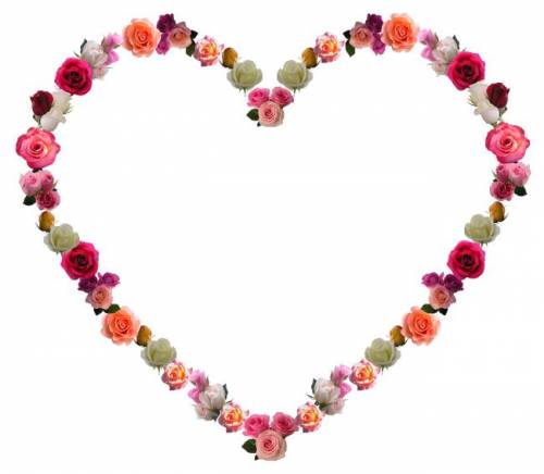 Рамка- разноцветное сердечко из роз