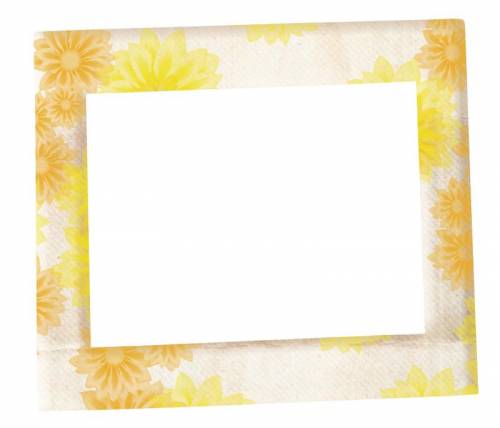 Бело-желтам рамка. Осенние цветы