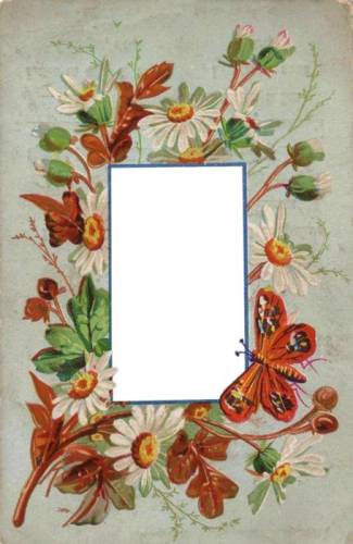 Рамка для фото с ромашками и бабочкой