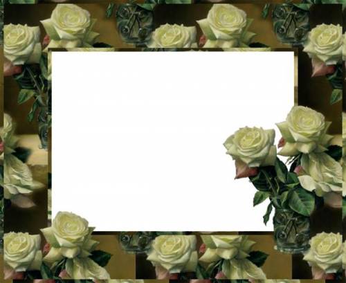 Красивая рамка из белых роз на темном