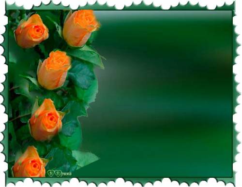 Розы оранжевого цвета на зеленом