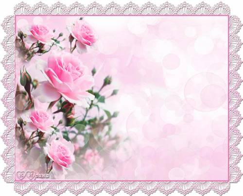 Рамка для поздравления с розовыми розами на розовом