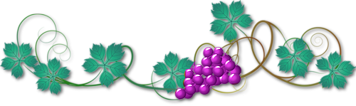 Украшение текста- ветвь винограда