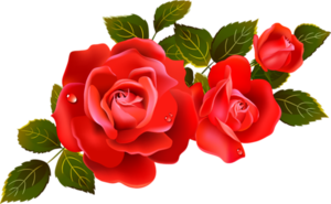 Украшение для поздравлений - красные розы