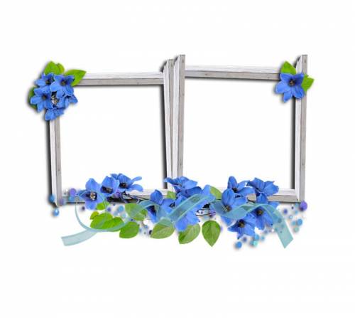Две рамки с голубыми цветами
