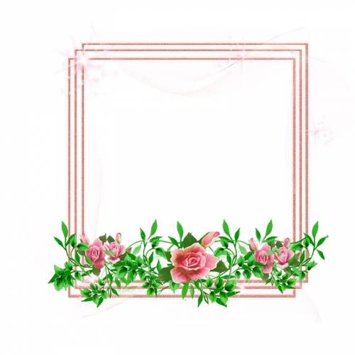 Красивая розовая рамка с розами внизу