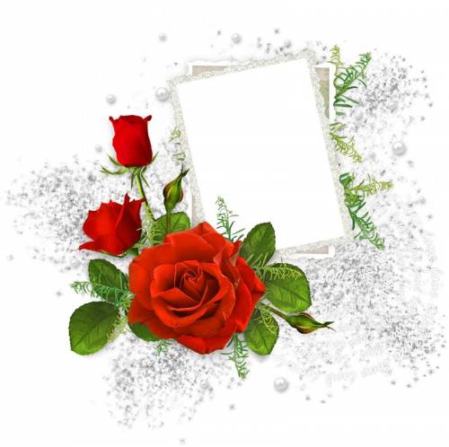 Белая рамка с красивыми красными розами