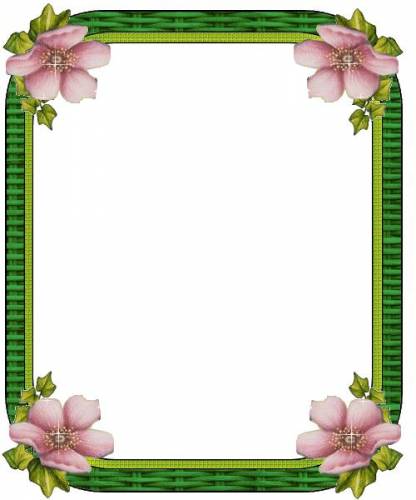 Зеленая рамка с цветками в углах
