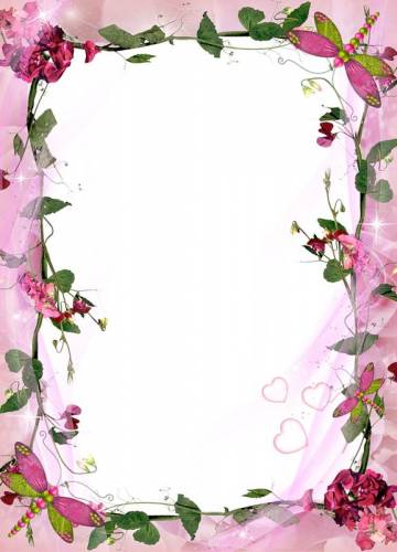 Розовая рамка с цветами и стрекозами