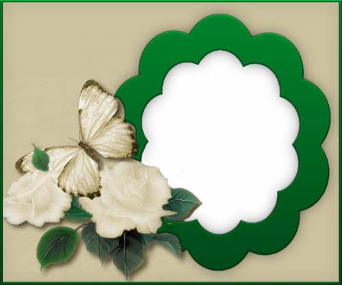 Рамка в виде зеленого цветка с белыми розами