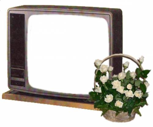 Рамка-телевизор с корзиной белых роз