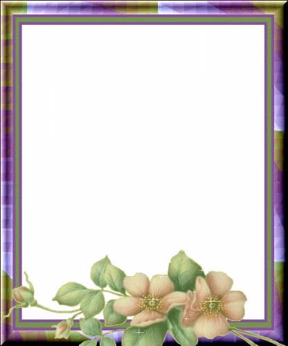 Фиолетово-желтыя рамка с цветами
