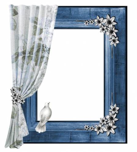 Рамка-окно с белой занавеской и голубем