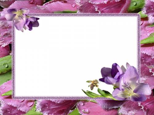 Фиолетовая рамка с цветами и пчелкой