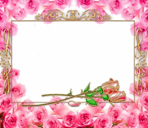 Рамка для поздравления красивая с розами