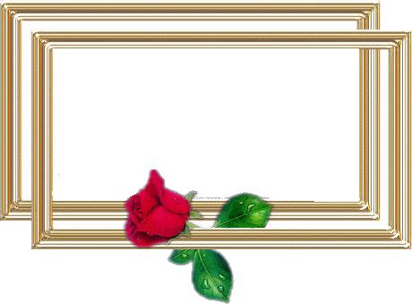 Золотая рамочка двойная с розой