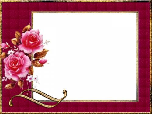 Красно-розовая рамка с розами