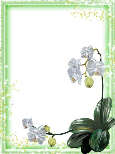 Красивая рамка для поздравлений с бедой орхидеей