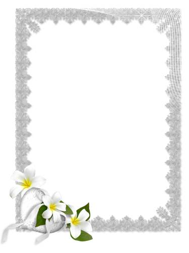 Серая рамка с белыми цветами и сеточкой