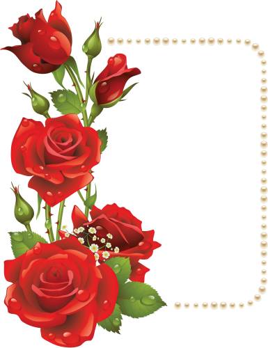 Вертикальная прямоугольная рамка с розами в росе