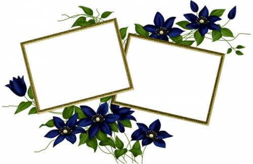 Две рамки  с синими цветами