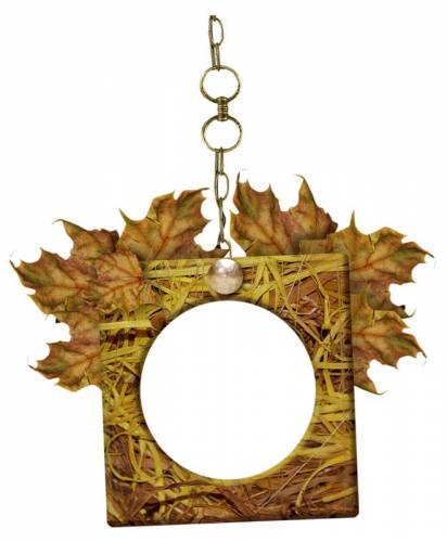 Рамка на цепочке с осенней листвой