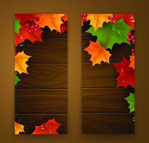 Рамки с осенними яркими листьями для двух фото