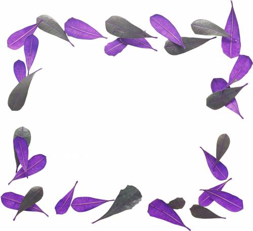 Рамка из фиолетовых листочков