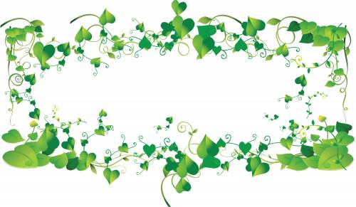 Рамка из зеленых, похожих на сердечки листиков