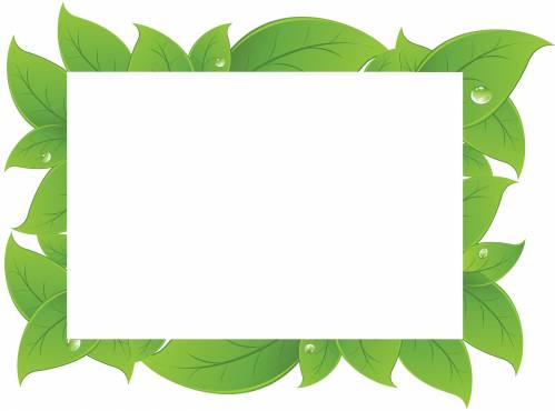 Рамка из зеленых листиков