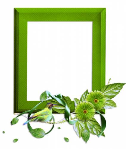Рамка зеленая с цветами и птицей