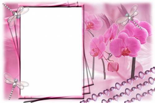 Рамка розовая. Орхидеи и стрекозы