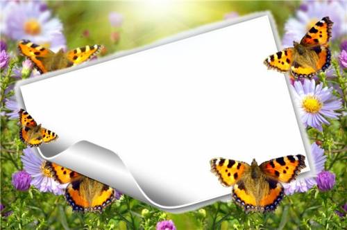 Красивая рамка с бабочками