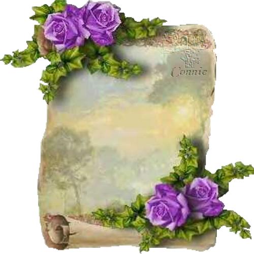 Старинный свиток с фиолетовыми розами