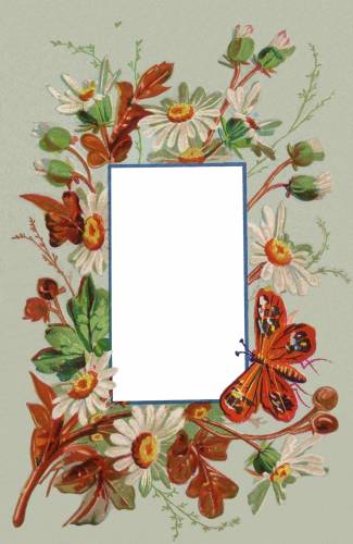 Вырезы для фото на фоне букета цветов и бабочки