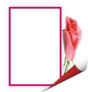 Рамка-лист с розовой розой