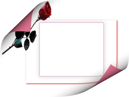 Рамка-лист с красной розой